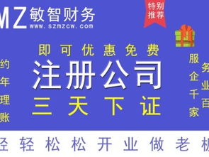 深圳龍崗公司注冊、注銷、變更及一般納稅人申請代辦服務指南
